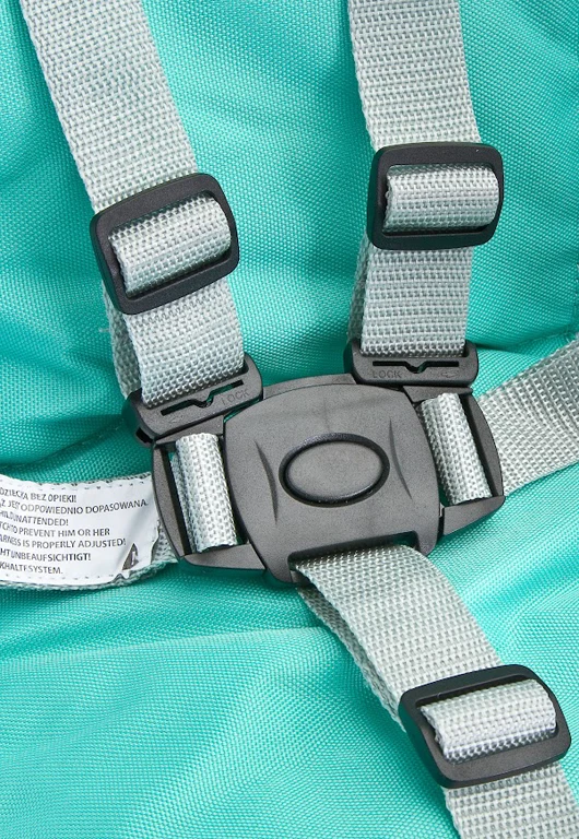Детский стульчик для кормления Caretero Homee Mint